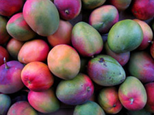 Mangos